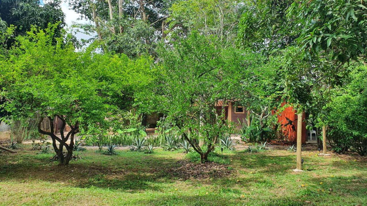 Free Soul House - Localizacao Ideal No Centrinho Алту-Параїзу-ді-Гояс Екстер'єр фото